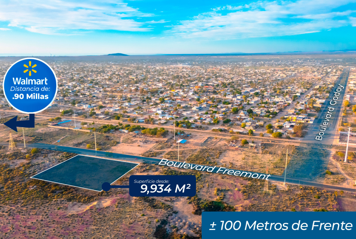 Terreno en Venta para Desarrollo en Puerto Peñasco – 9,934 m²