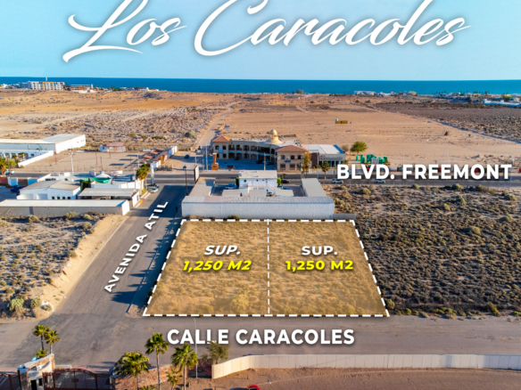 Terreno Comercial en Puerto Peñasco Detrás de Boulevard Freemont