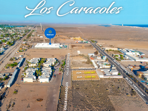 Terreno Comercial en Puerto Peñasco Detrás de Boulevard Freemont