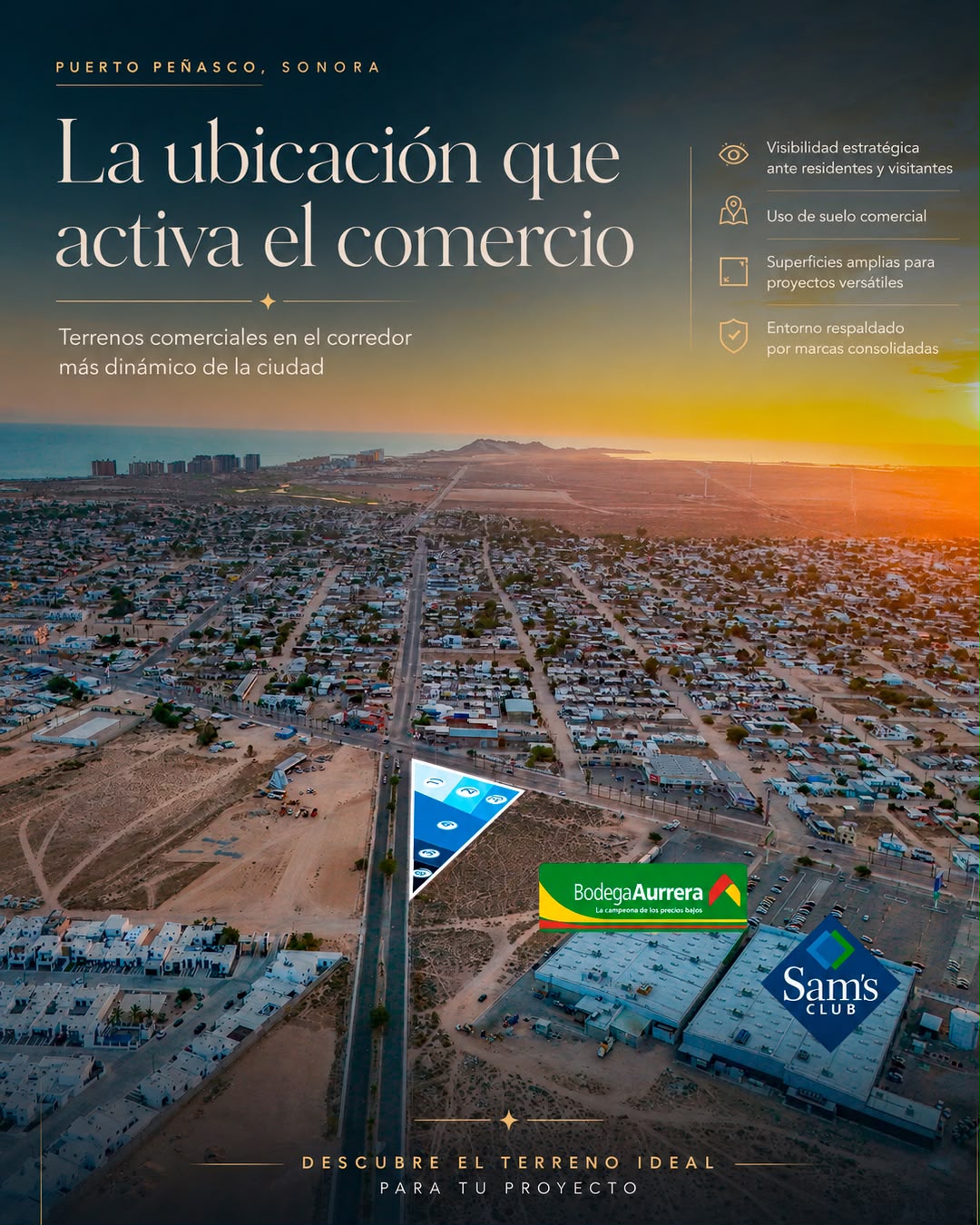 SeaConchas